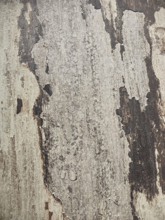 Obsidian Chocolate Limestone - Image 3