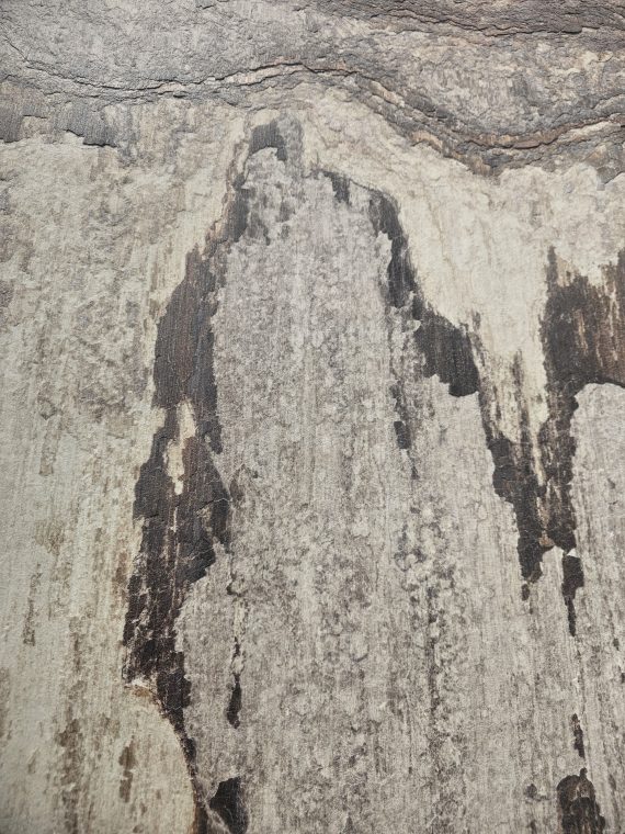 Obsidian Chocolate Limestone